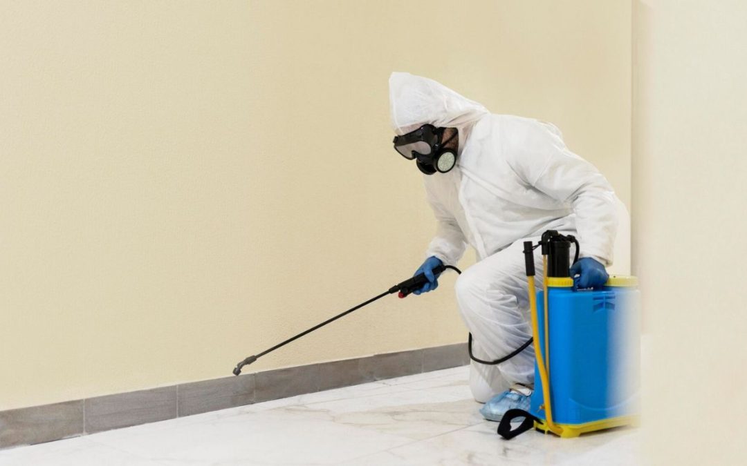 What Every Homeowner Should Know About Mold Remediation in Detroit