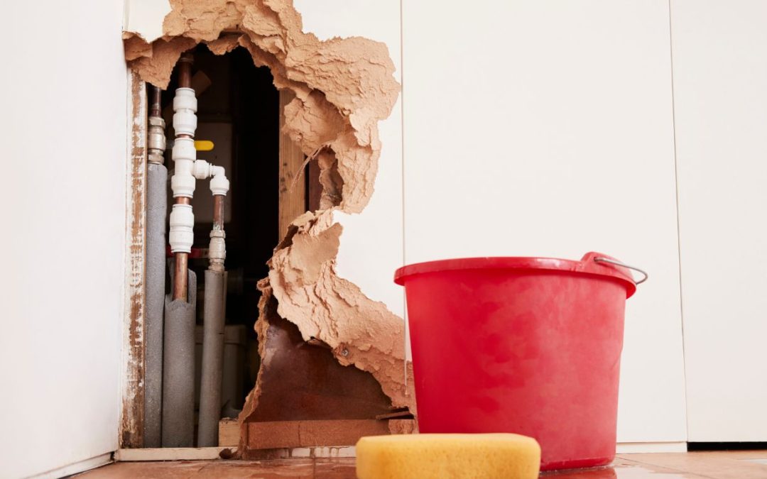 Why Water Damage Restoration in Detroit Is More Than Just Cleaning Up