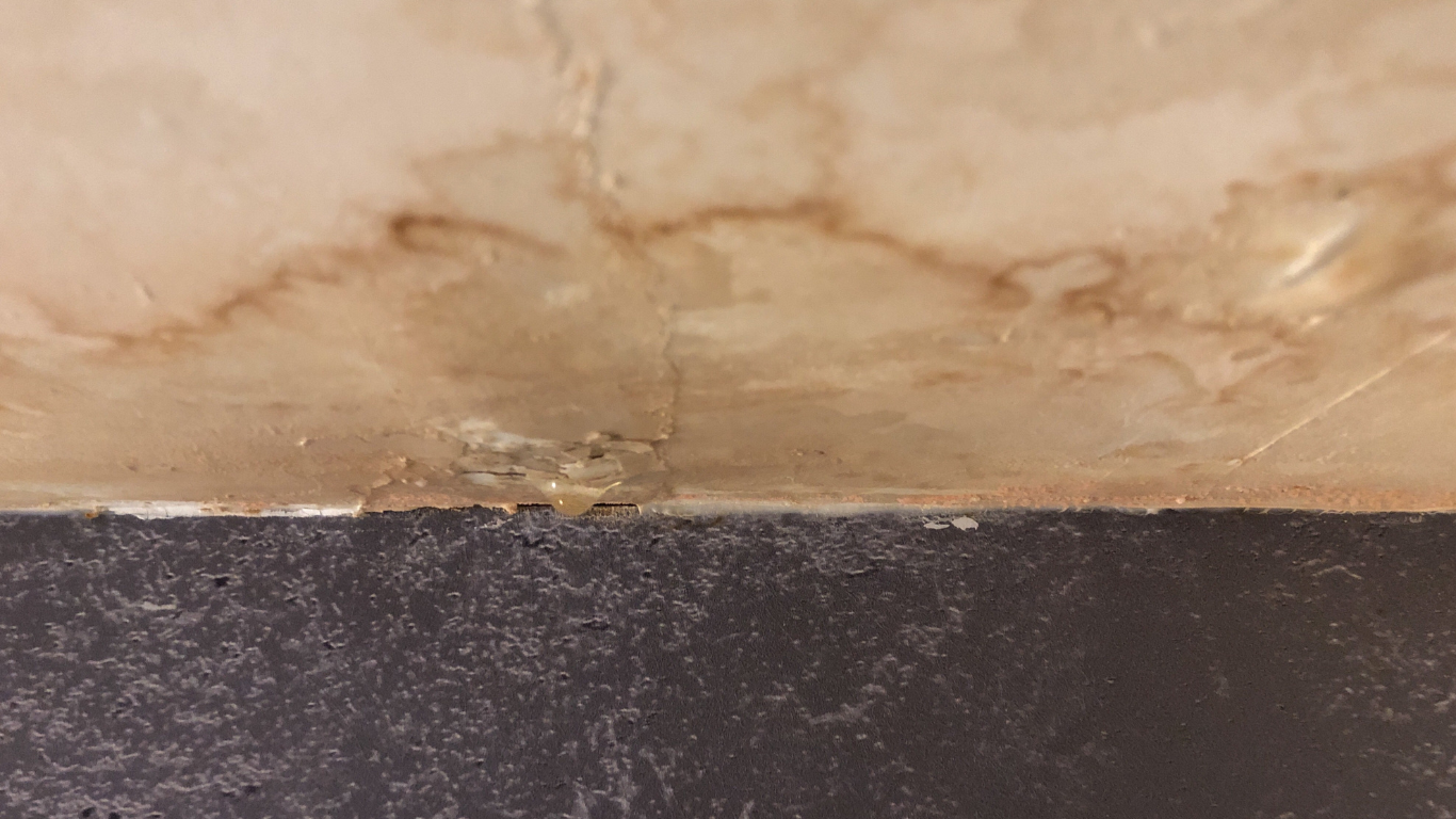 Seven Signs You May Have a Hidden Water Leak in Sterling Heights MI hidden water leak