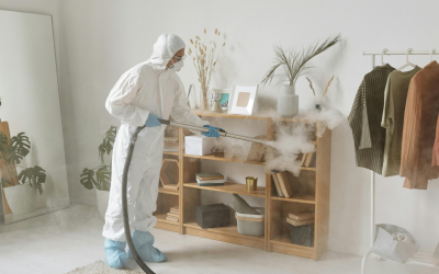 Eliminate Lingering Odors with Odor Removal in Royal Oak